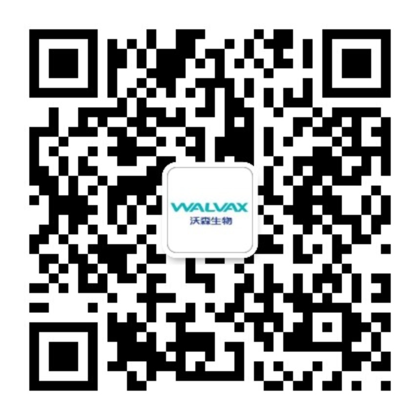 ������ά��