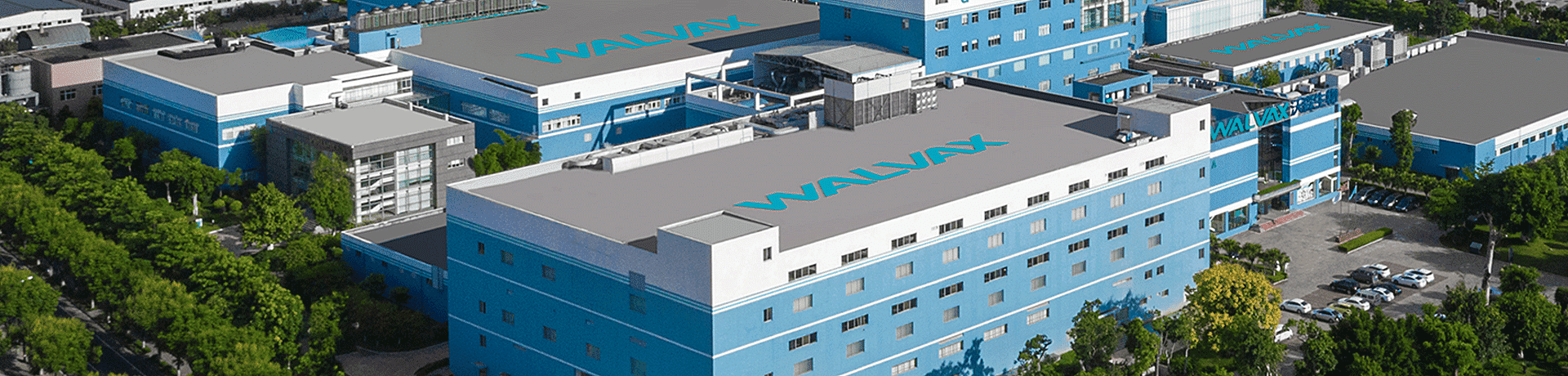 ����BWIN��Ӯ����